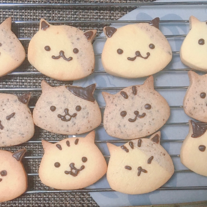 簡単食材でお気軽クッキー ねこ型 レシピ 作り方 By 巳ツナ 楽天レシピ 簡単食材でお気軽クッキー ねこ型 レシピ 作り方 By 巳ツナ 楽天レシピ